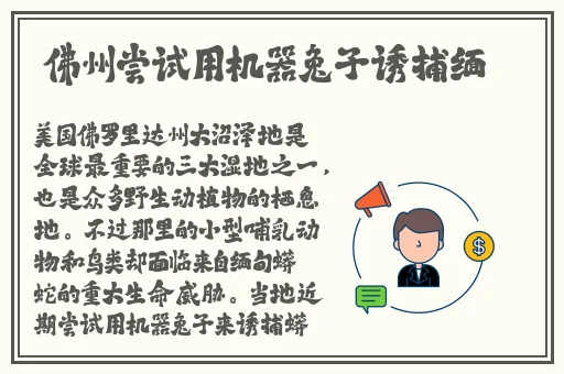日韩精品午夜无码电影网